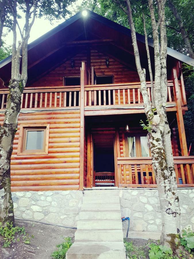Krojet E Rrogamit Valbone Exterior foto